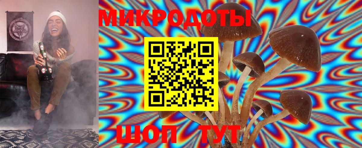 Галлюциногенные грибы прущие грибы Белебей