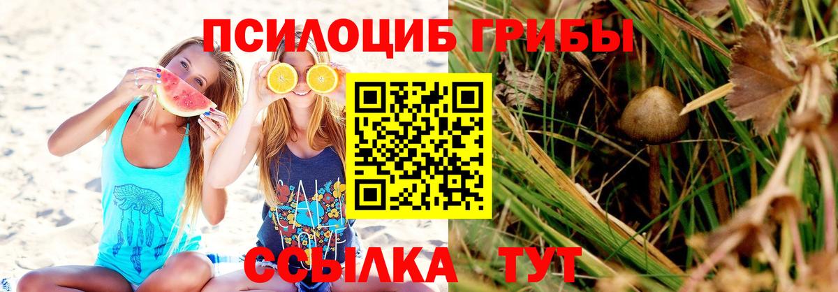 Белебей  хочу наркоту  Вход с VPN  Псилоцибиновые грибы Psilocybe 